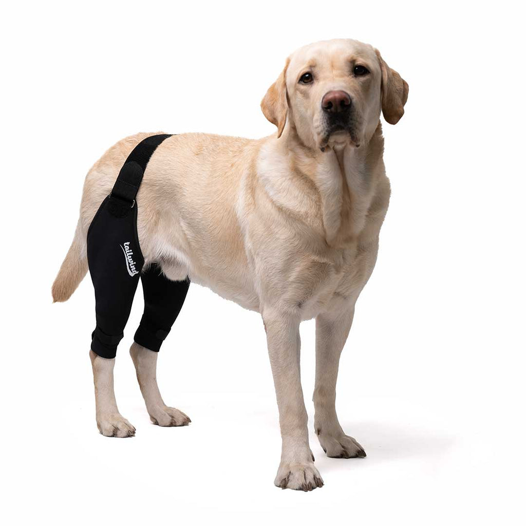 Beidseitige Kniebandage für Hunde - Kreuzbandstütze