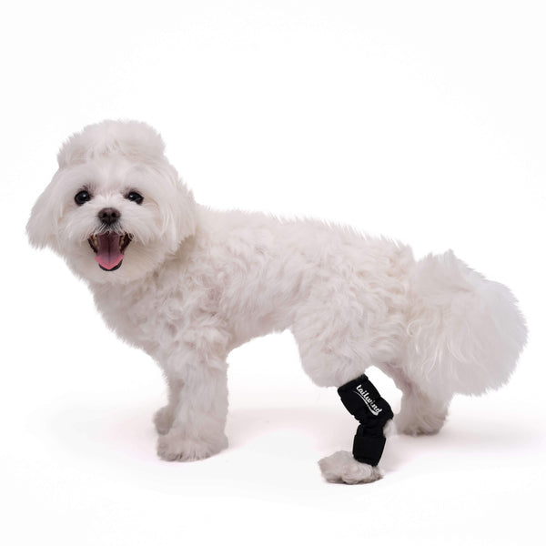 Maßgefertigte Sprunggelenksbandage für Hunde - Gelenkschutz